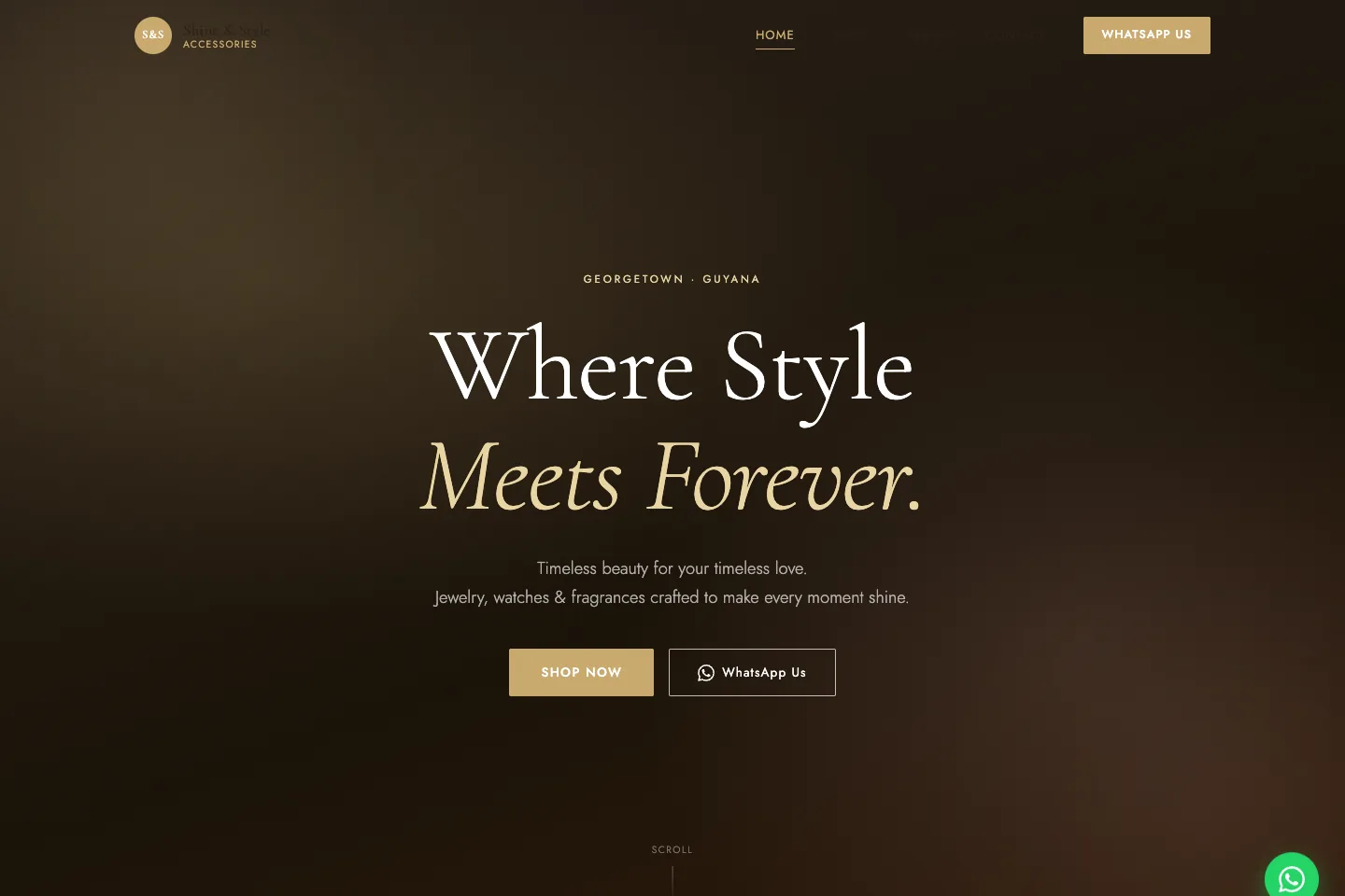 Shine & Style Accessories — Ecommerce Catalog Website — website preview screenshot